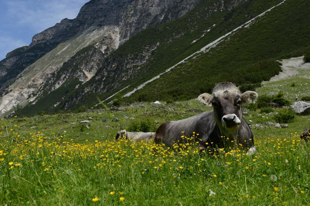 Pension Tina Neustift im Stubaital Exterior foto
